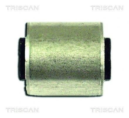 Mounting, control/trailing arm (8500 29840)