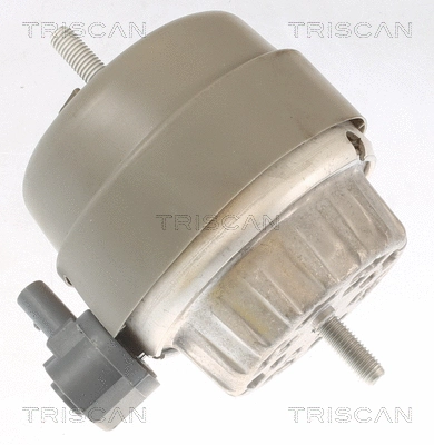 Mounting, engine (8505 29174)