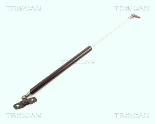 Gas Spring, boot/cargo area (8710 21204)