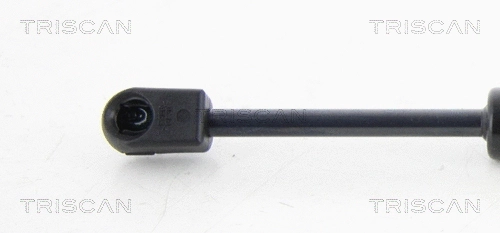Gas Spring, bonnet
