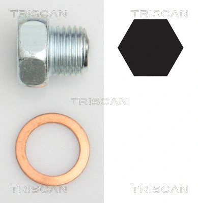 Screw Plug, oil sump (9500 2404)