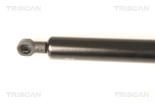 Gas Spring, boot/cargo area