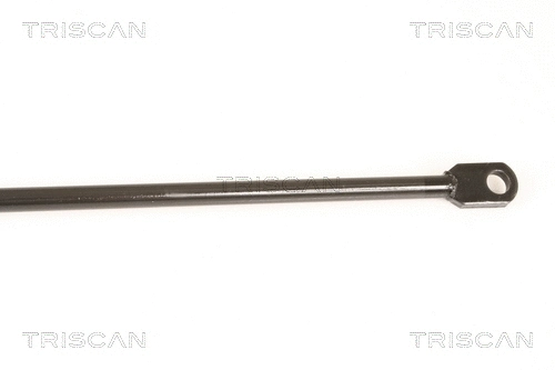 Gas Spring, boot/cargo area