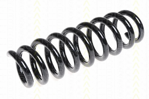 Suspension Spring (8750 11113)