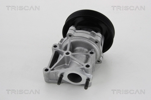 Water Pump, engine cooling (8600 80013)
