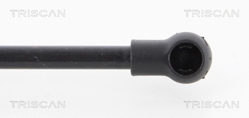 Gas Spring, boot/cargo area