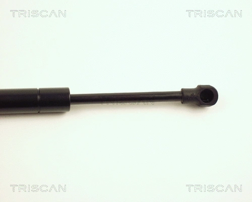 Gas Spring, boot/cargo area