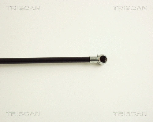 Gas Spring, boot/cargo area