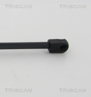 Gas Spring, boot/cargo area