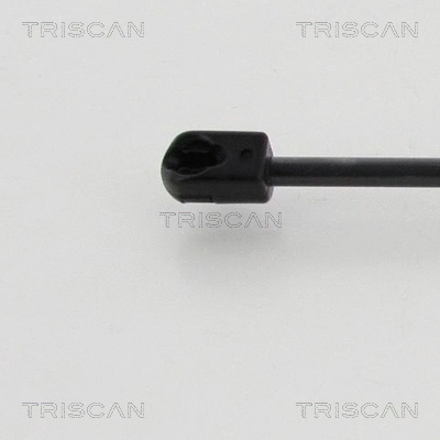 Gas Spring, boot/cargo area