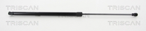 Gas Spring, boot/cargo area (8710 21213)