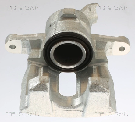 Brake Caliper (8175 17202)