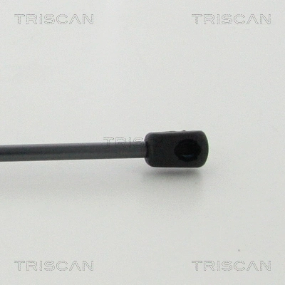 Gas Spring, boot/cargo area