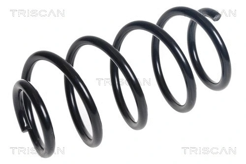 Suspension Spring (8750 16138)