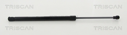 Gas Spring, boot/cargo area (8710 292038)