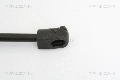 Gas Spring, bonnet