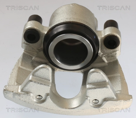 Brake Caliper (8175 10108)