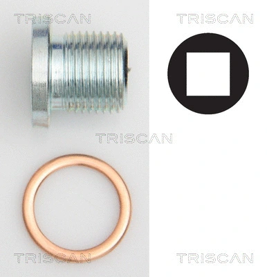 Screw Plug, oil sump (9500 1004)