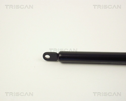 Gas Spring, bonnet