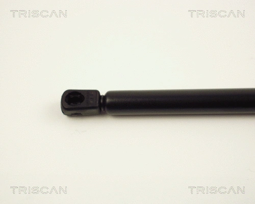 Gas Spring, boot/cargo area