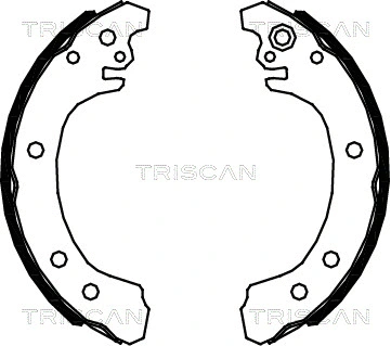 Brake Shoe Set (8100 13049)