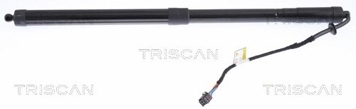 Gas Spring, boot/cargo area (8710 17304)