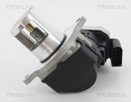 EGR Valve (8813 23007)