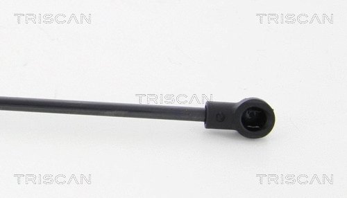 Gas Spring, boot/cargo area