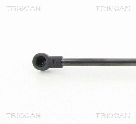 Gas Spring, bonnet