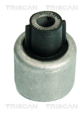 Mounting, control/trailing arm (8500 11846)