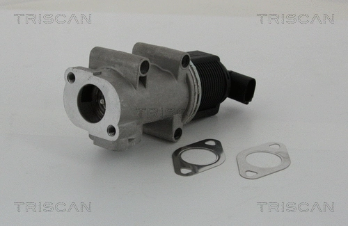 EGR Valve (8813 10005)