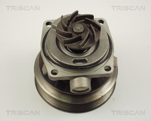 Water Pump, engine cooling (8600 10006)
