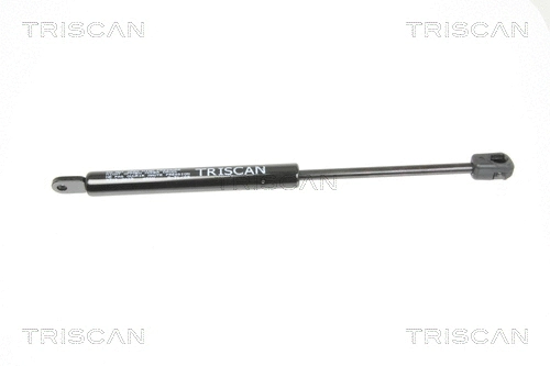 Gas Spring, bonnet (8710 2005)