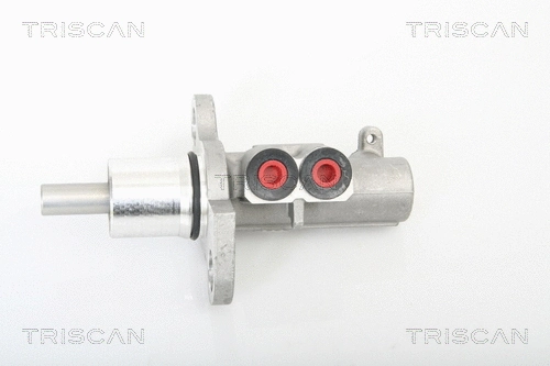 Brake Master Cylinder (8130 29146)