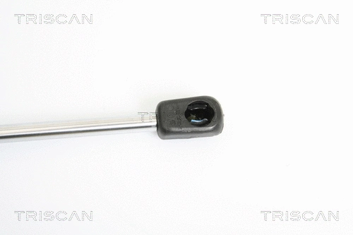 Gas Spring, boot/cargo area