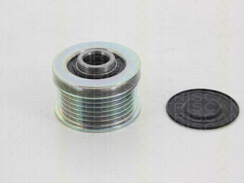Alternator Freewheel Clutch (8641 284005)