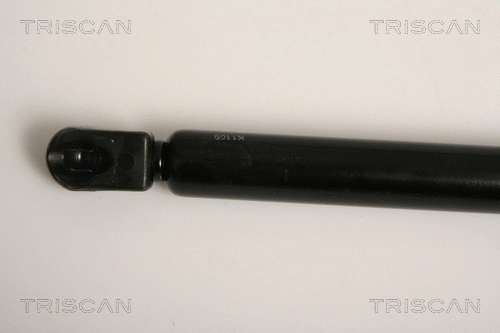 Gas Spring, boot/cargo area