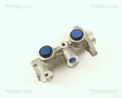 Brake Master Cylinder (8130 24113)