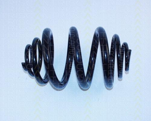 Suspension Spring (8750 2996)