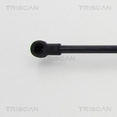 Gas Spring, boot/cargo area