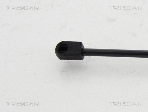 Gas Spring, boot/cargo area