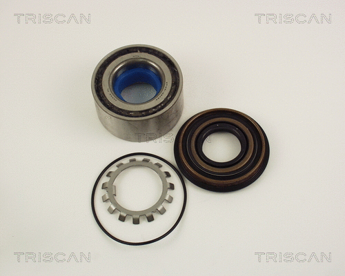 Wheel Bearing Kit (8530 10252)