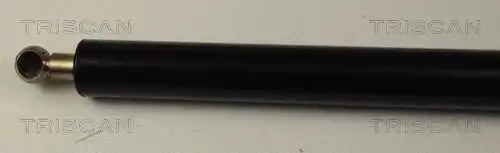 Gas Spring, boot/cargo area