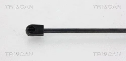Gas Spring, boot/cargo area