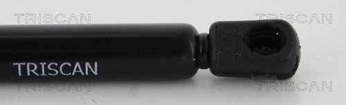 Gas Spring, boot/cargo area