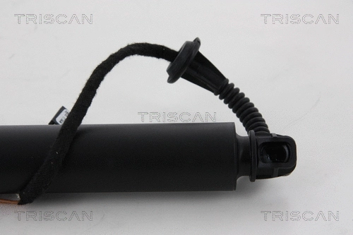 Gas Spring, boot/cargo area
