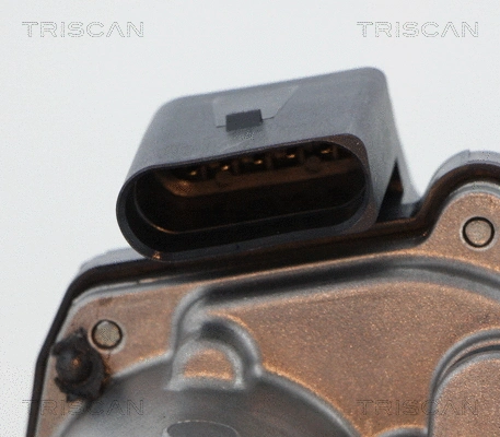 EGR Valve