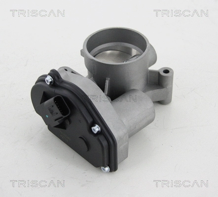 Throttle Body (8820 16001)