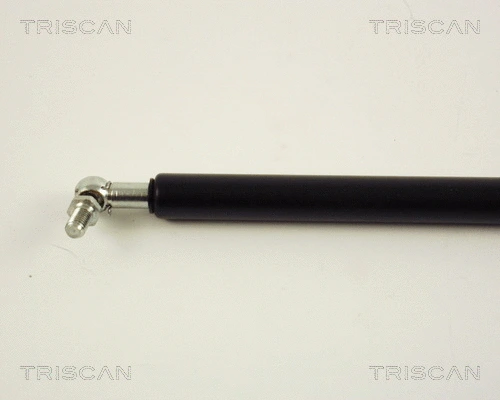 Gas Spring, boot/cargo area