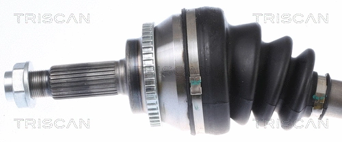 Drive Shaft